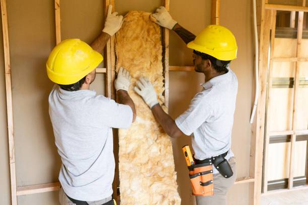 Best Basement Insulation  in Melrose, MA